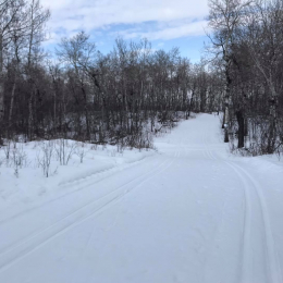 Groomed Trails