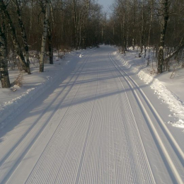 Ski trail after grooming